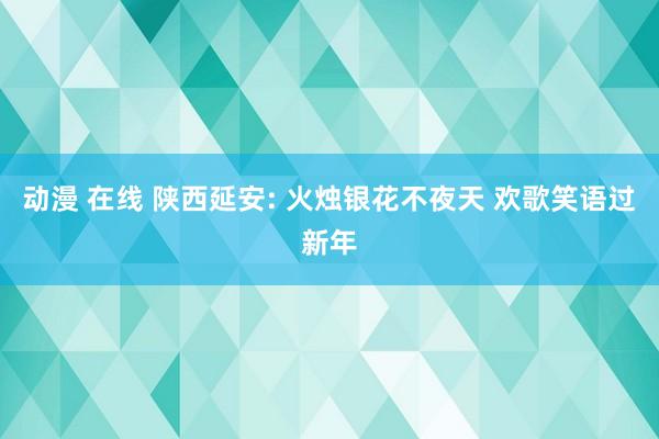 动漫 在线 陕西延安: 火烛银花不夜天 欢歌笑语过新年