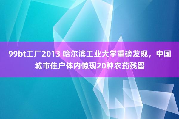 99bt工厂2013 哈尔滨工业大学重磅发现，中国城市住户体内惊现20种农药残留