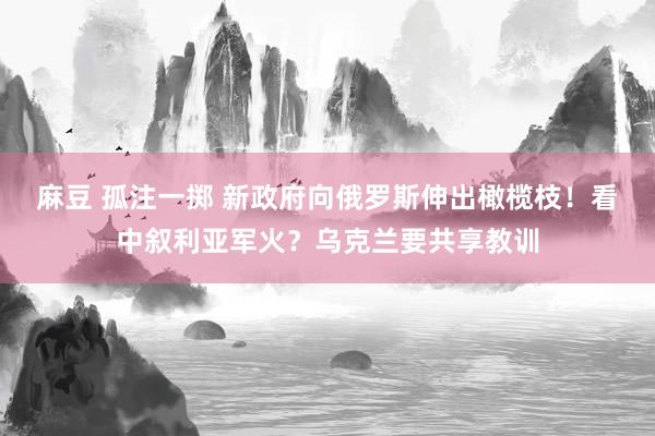 麻豆 孤注一掷 新政府向俄罗斯伸出橄榄枝！看中叙利亚军火？乌克兰要共享教训