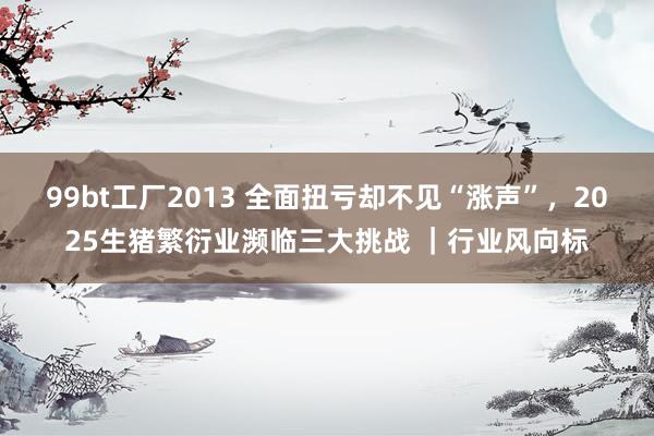 99bt工厂2013 全面扭亏却不见“涨声”，2025生猪繁衍业濒临三大挑战 ｜行业风向标