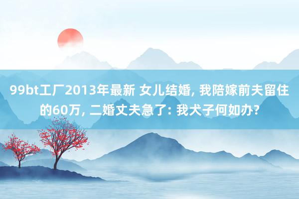 99bt工厂2013年最新 女儿结婚， 我陪嫁前夫留住的60万， 二婚丈夫急了: 我犬子何如办?