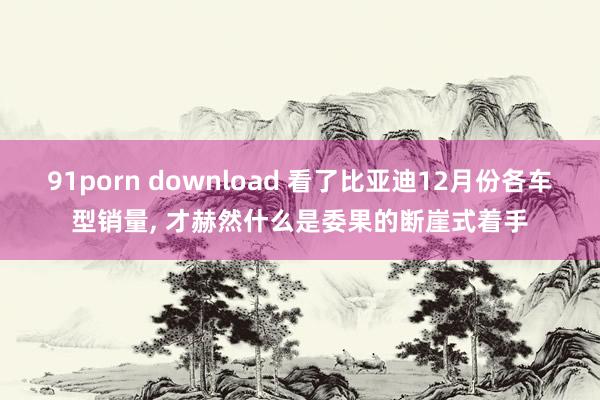 91porn download 看了比亚迪12月份各车型销量， 才赫然什么是委果的断崖式着手