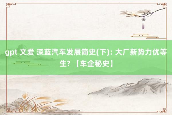 gpt 文爱 深蓝汽车发展简史(下): 大厂新势力优等生? 【车企秘史】