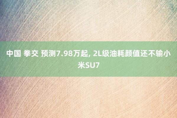 中国 拳交 预测7.98万起， 2L级油耗颜值还不输小米SU7