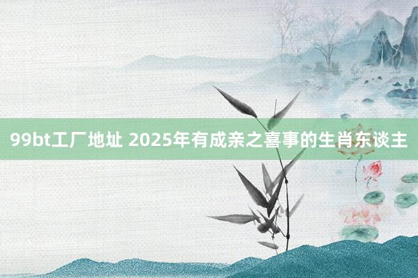 99bt工厂地址 2025年有成亲之喜事的生肖东谈主